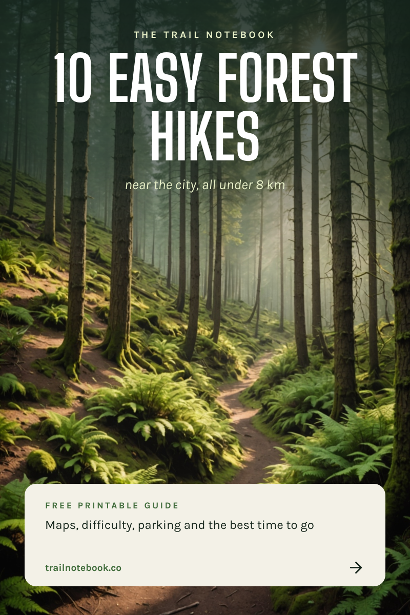 Preview of the Hiking Guide Pin template: misty forest trail photo with a bold list headline and a free guide card