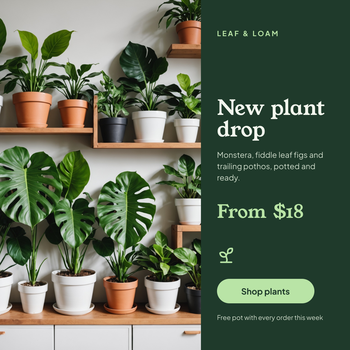 Preview of the Plant Shop Post template: houseplant shelf photo beside a forest green panel with price and shop button